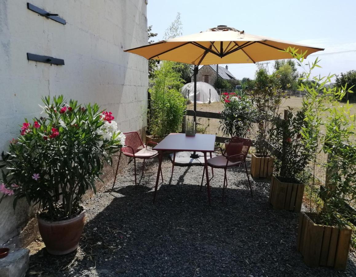 Bel Appt 3 Pieces, A L'Etage, Jardin Privatif, Au Calme, 10 Mn Saumur Et Cnpe Varennes-sur-Loire Exteriér fotografie